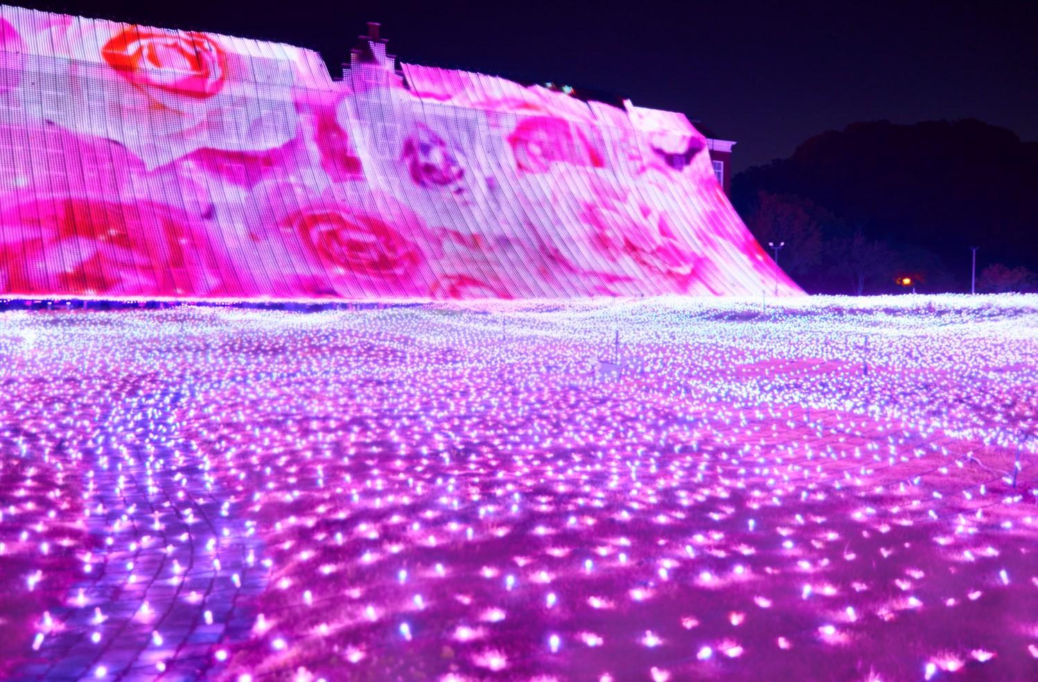 色とりどりのバラと噴水ショーのコラボレーションを堪能できる新エリア「ウォーターガーデン」-2
