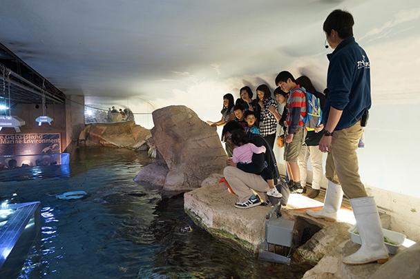 水族館ミステリーツアー-0