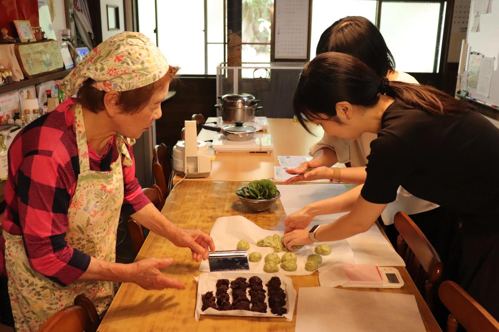 【海風旅。Experience】吉井の恵みを五感で味わう。築100年の古民家で薬草・野草収穫＆ヘルシー薬膳料理講座-6
