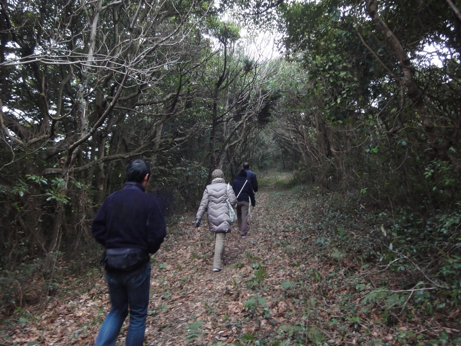 【宇久島】城ヶ岳トレッキング体験-1