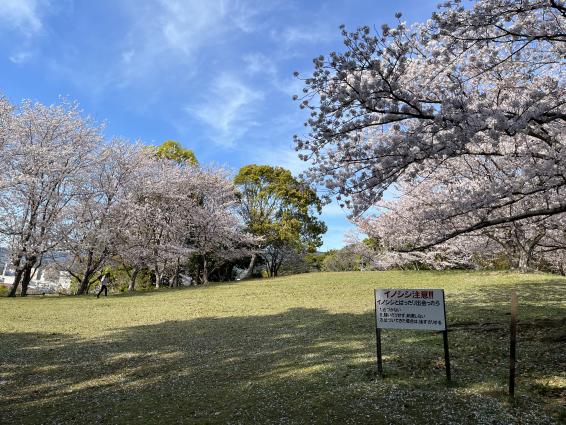 干尽公園-0