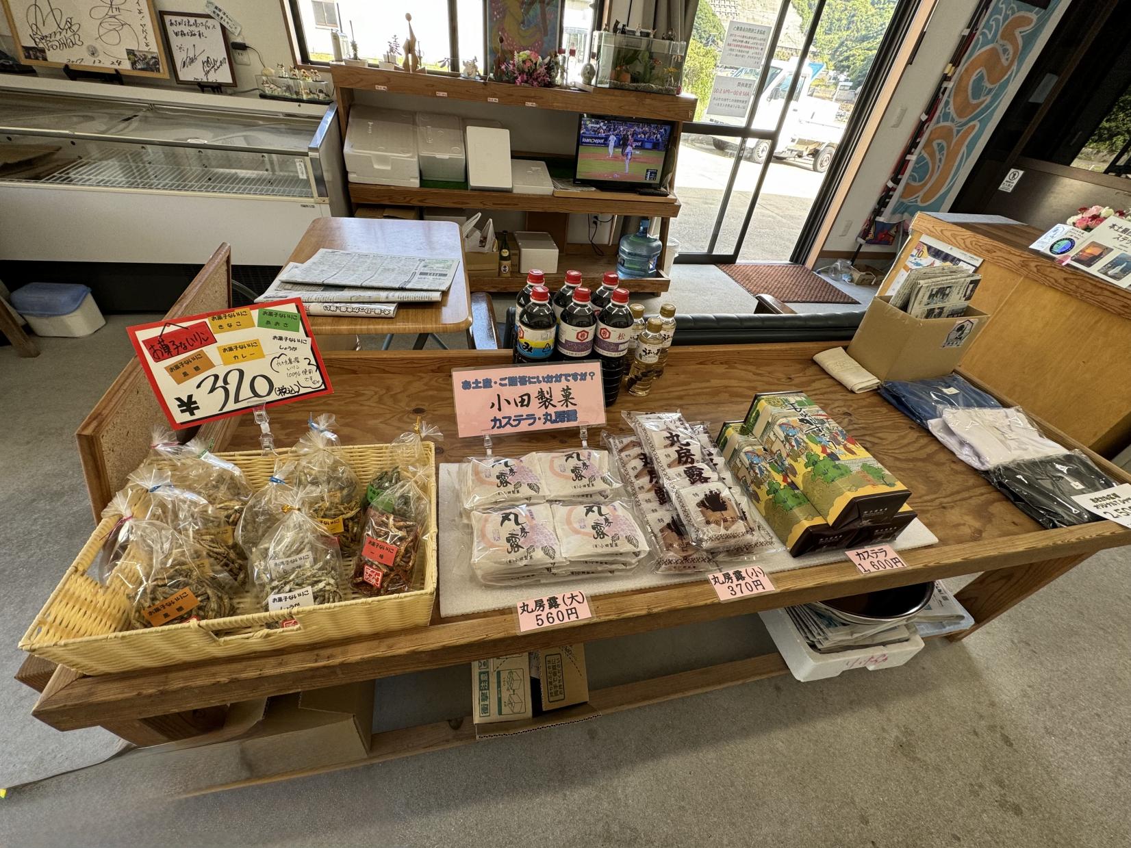 おさかな広場-3