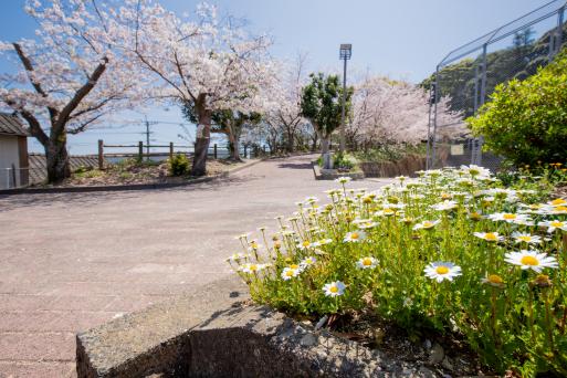 【お手軽ショートタクシープラン】東山海軍墓地-3