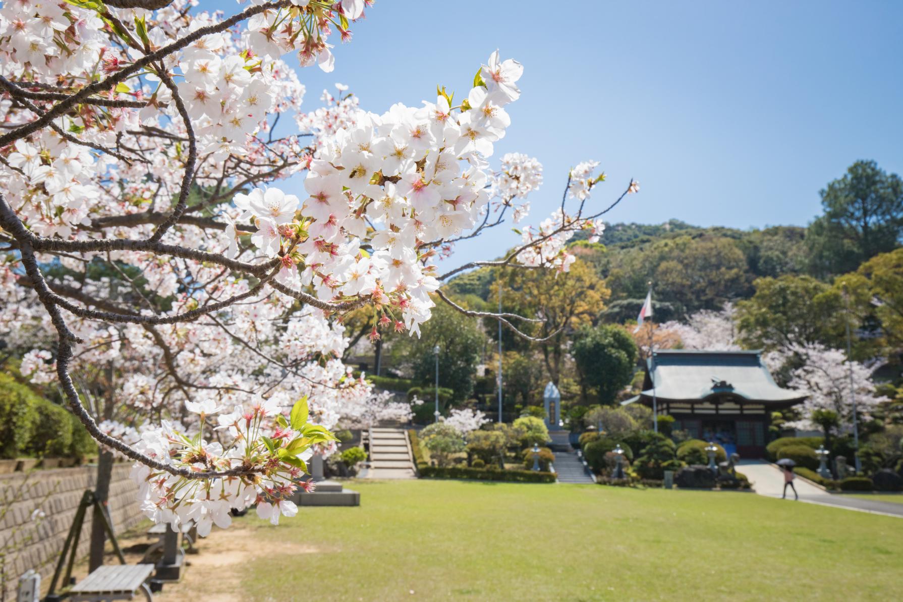 【お手軽ショートタクシープラン】東山海軍墓地-2