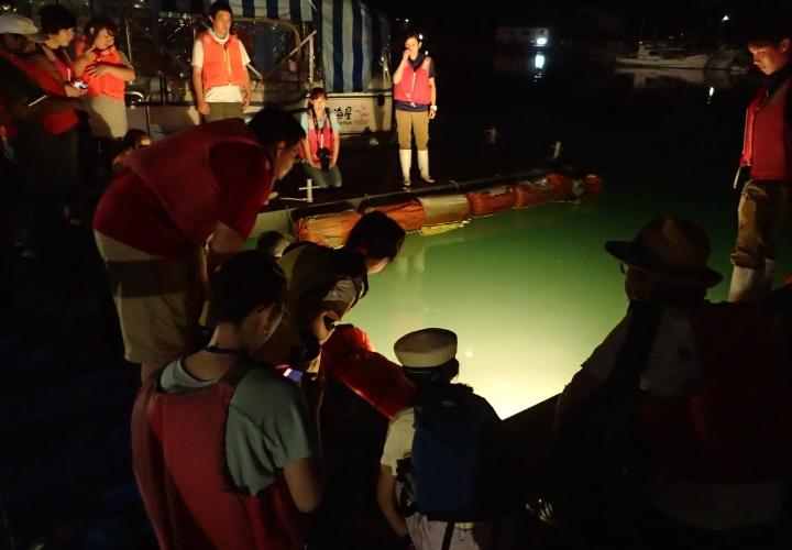 【九十九島水族館海きらら】夜きらら～夜の生きもの観察～-1