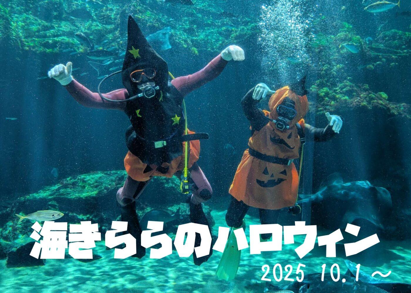 【九十九島水族館海きらら】海きららのハロウィン-1