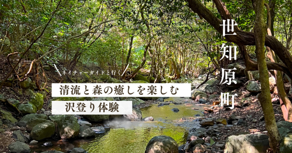 （世知原）清流と森の癒しを楽しむ、沢登りツアー-0
