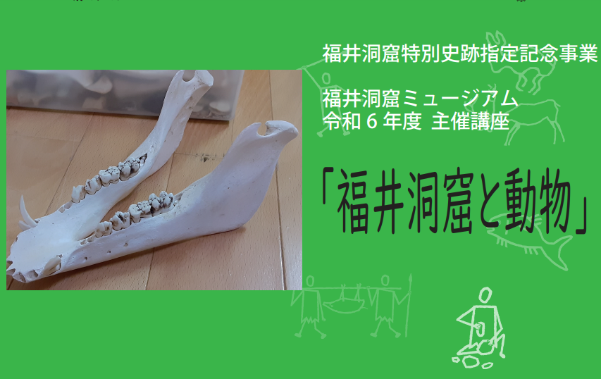 どうくつ体験リレー講座 第４回「福井洞窟と動物」-1