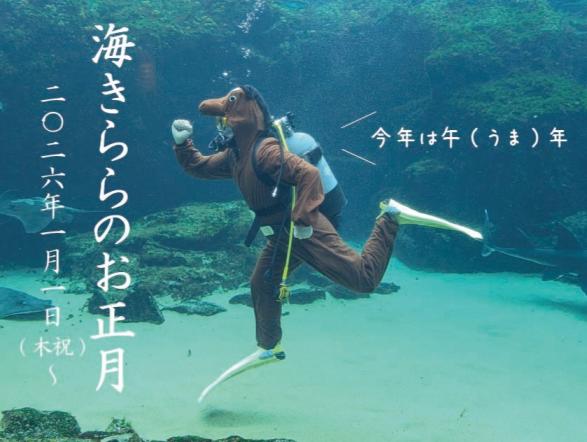 【九十九島水族館海きらら】海きららのお正月-0