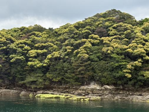 【7月10日申込開始】九十九島×福井洞窟、地球と人類の記憶ツアー-3