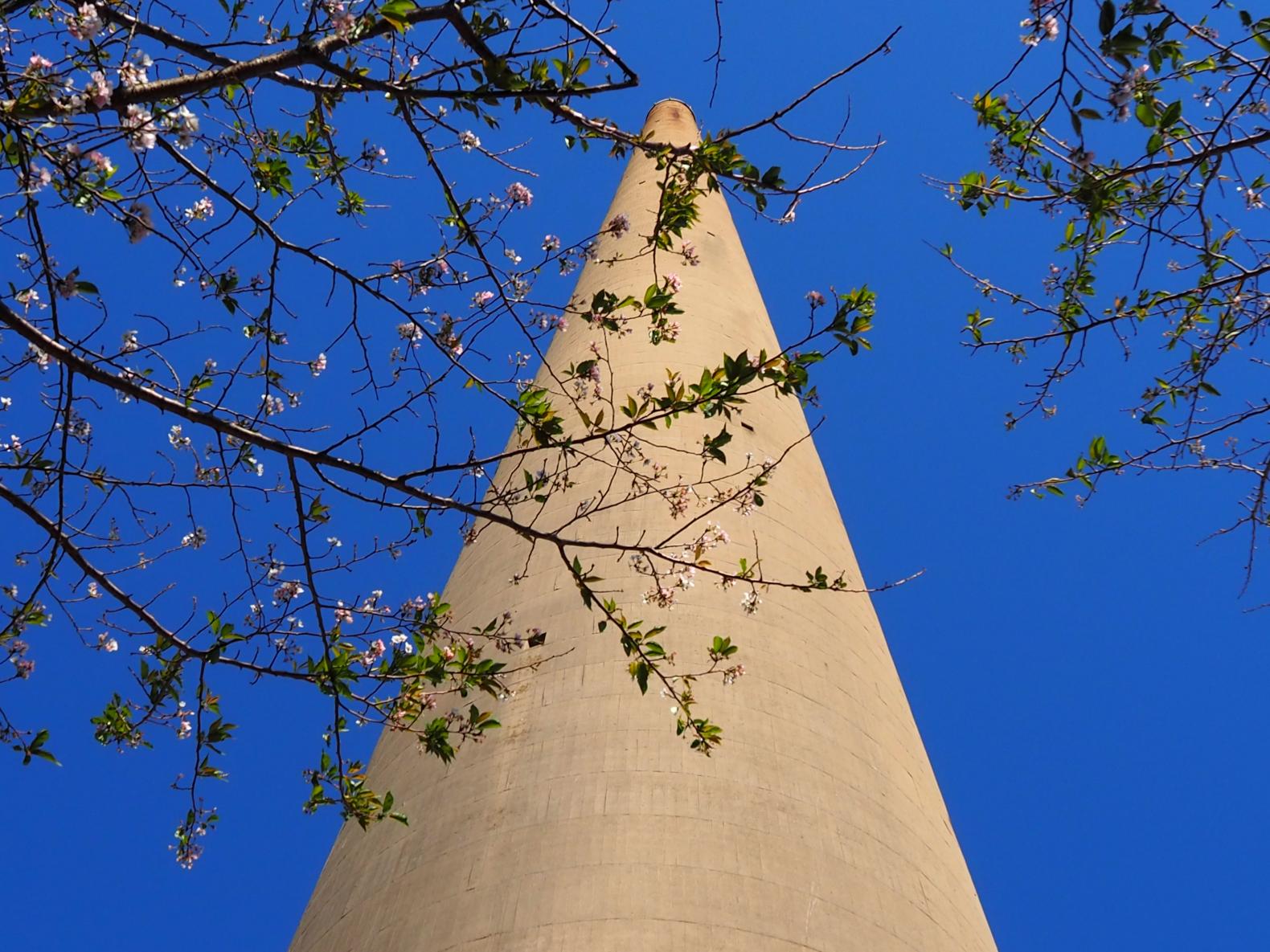 （針尾コース）ガイドと巡る「鎮守府　佐世保プライベートツアー」-1