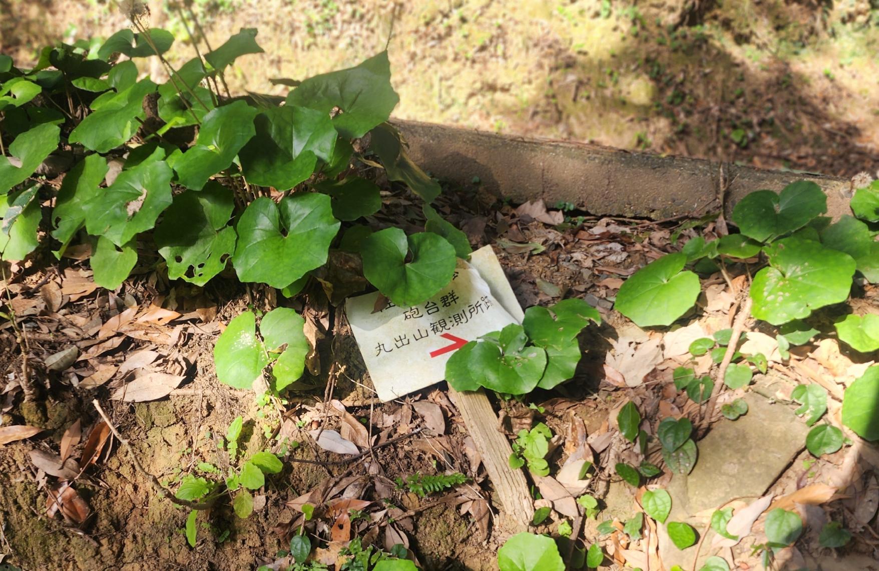 （俵ヶ浦コース）ガイドと巡る「鎮守府　佐世保プライベートツアー」-4