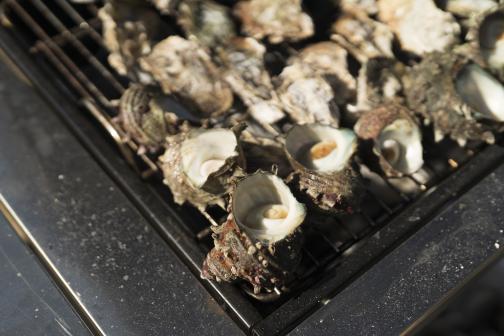 高島漁師と体験する高島時間～高島の冬の味覚と至福の高島牡蠣食べ放題ツアー～-6