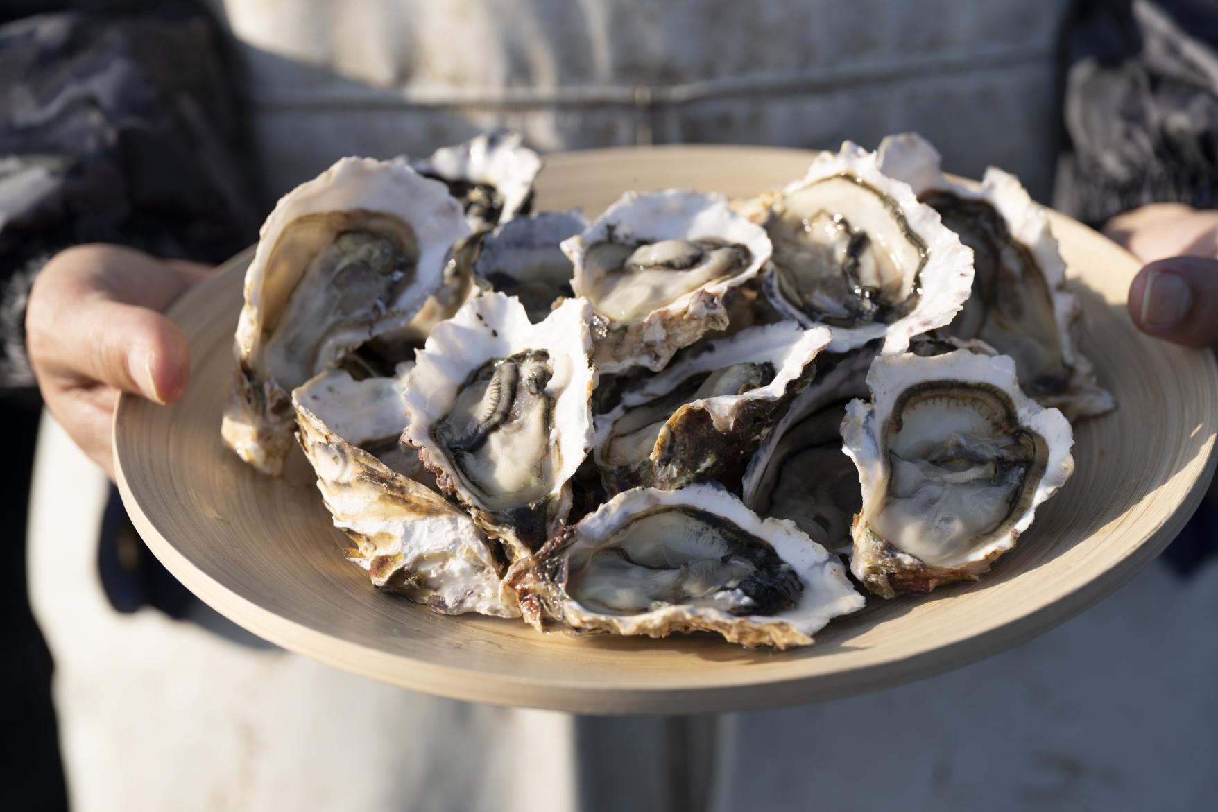 高島漁師と体験する高島時間～高島の冬の味覚と至福の高島牡蠣食べ放題ツアー～-5