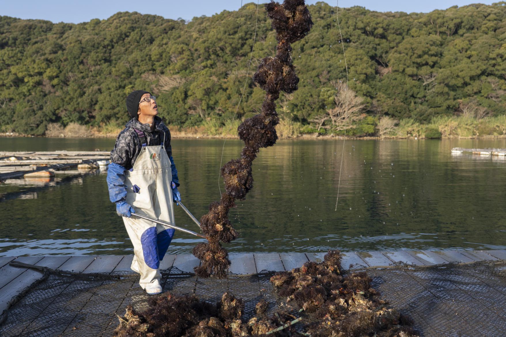 高島漁師と体験する高島時間～高島の冬の味覚と至福の高島牡蠣食べ放題ツアー～-1