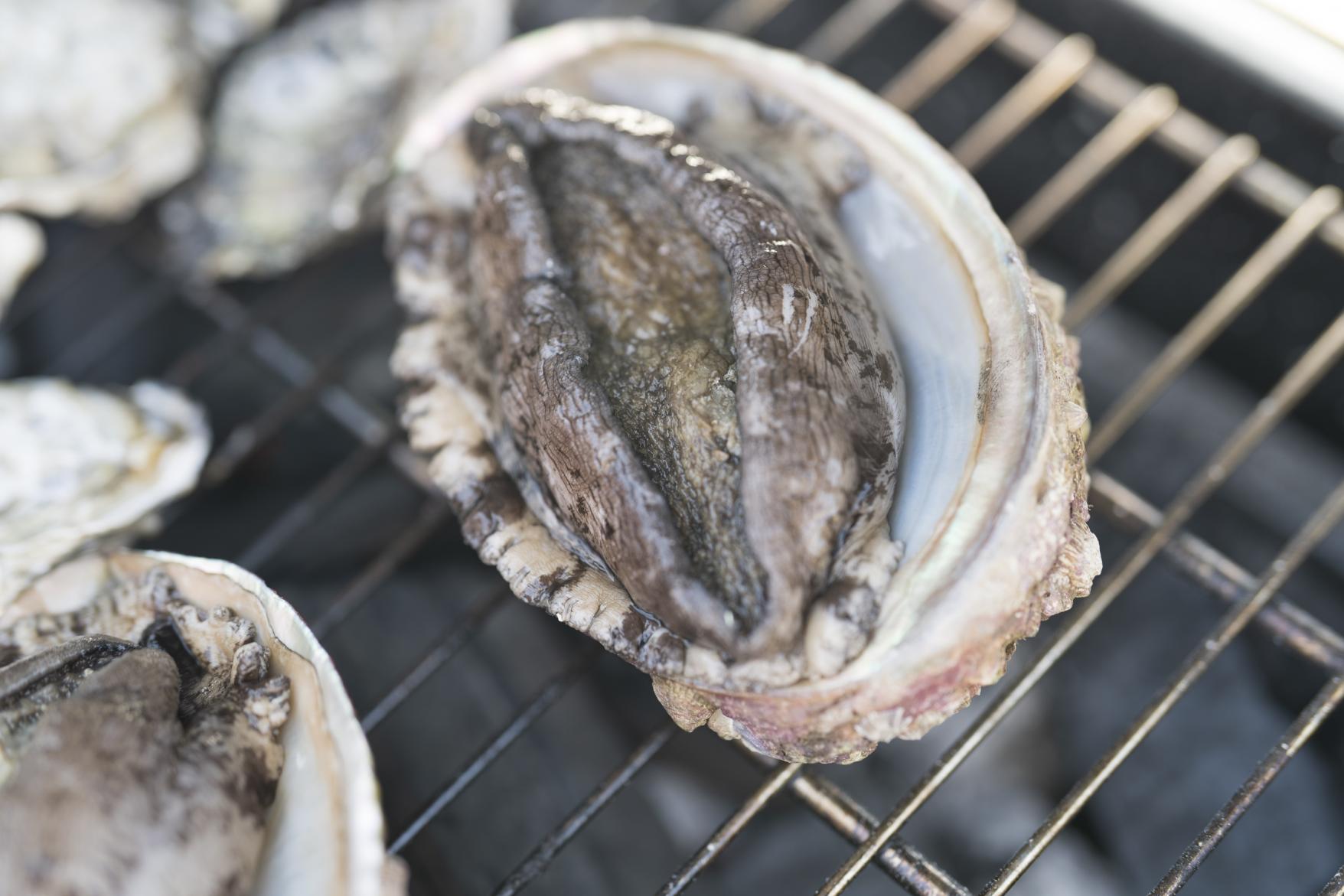 高島漁師と体験する高島時間～高島の冬の味覚と至福の高島牡蠣食べ放題ツアー～-7