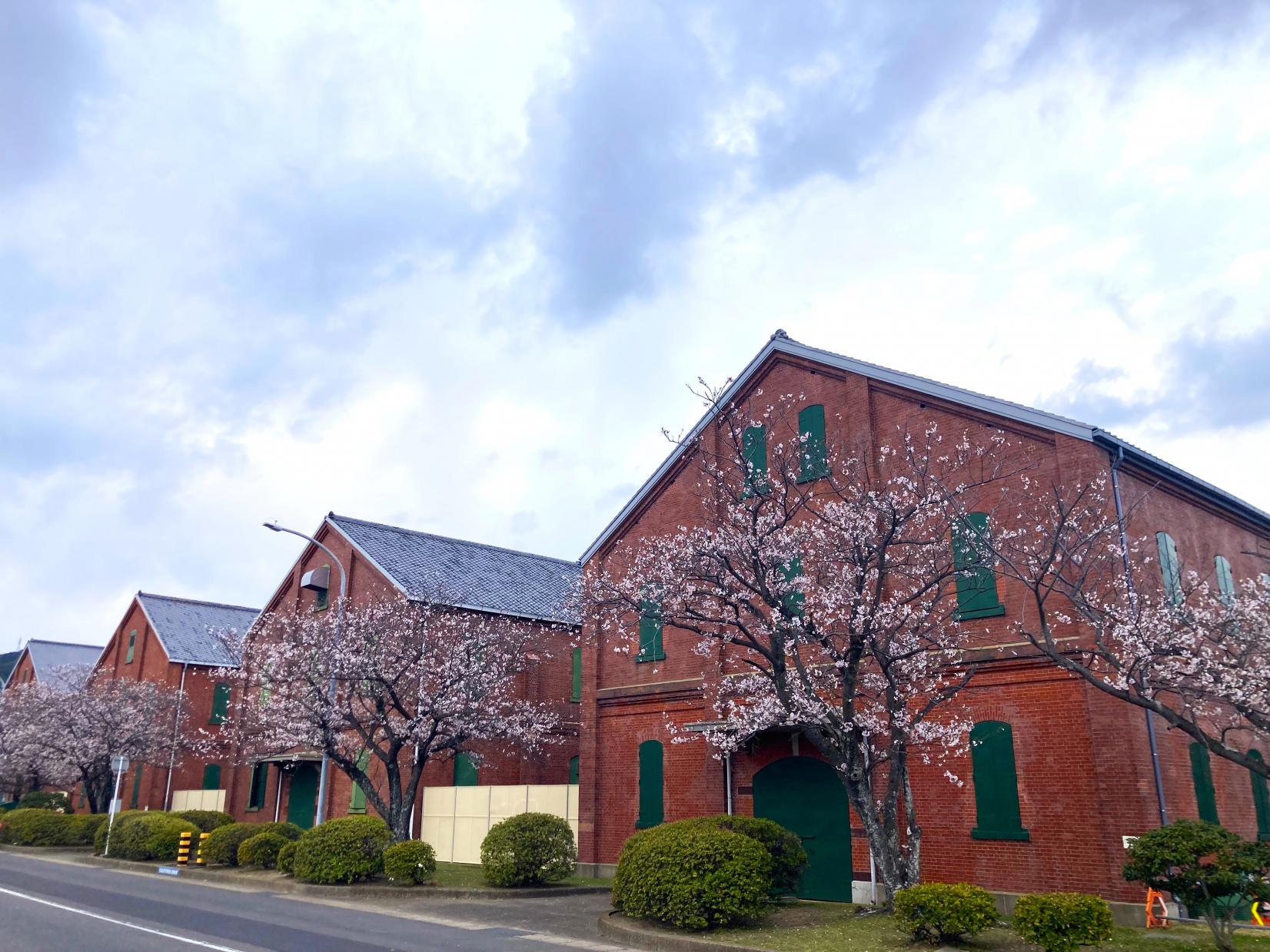 米海軍佐世保基地一般開放（Sasebo Fleet Friendship Day）-1