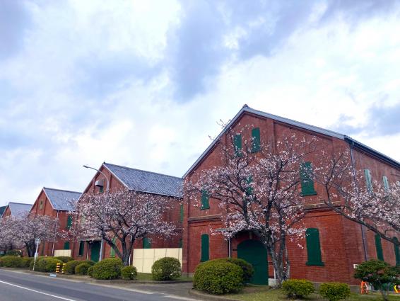 米海軍佐世保基地一般開放（Sasebo Fleet Friendship Day）-1