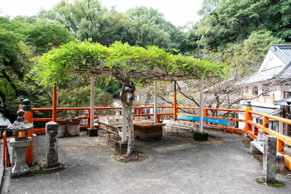 福石観音　清岩寺-8