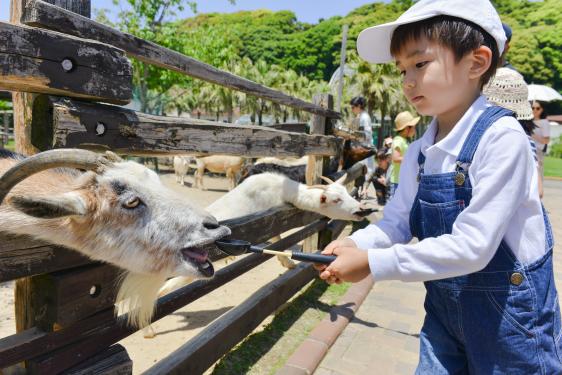 九十九島動植物園森きらら-2