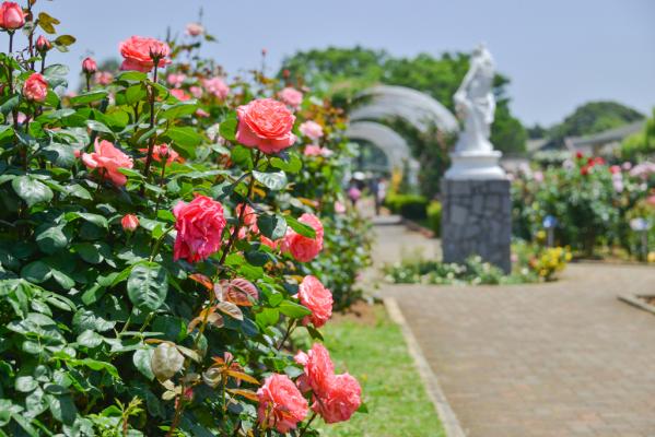 九十九島動植物園森きらら-9