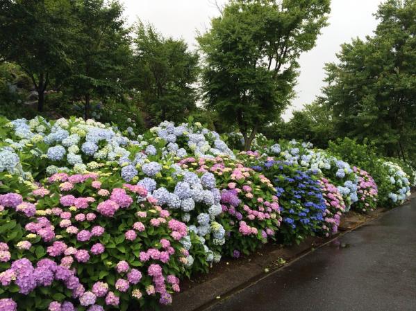 えぼしスポーツの里-8