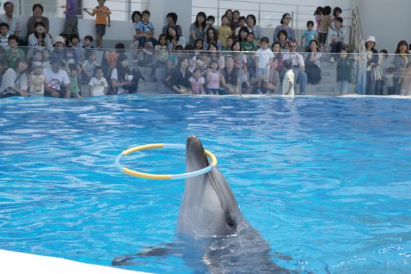 九十九島水族館海きらら-9