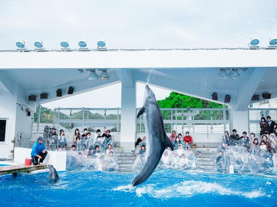 九十九島水族館海きらら-7