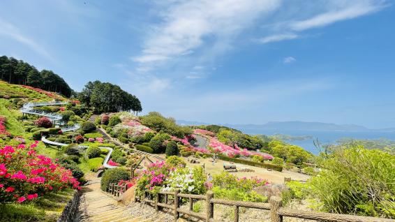 長串山つつじまつり-6