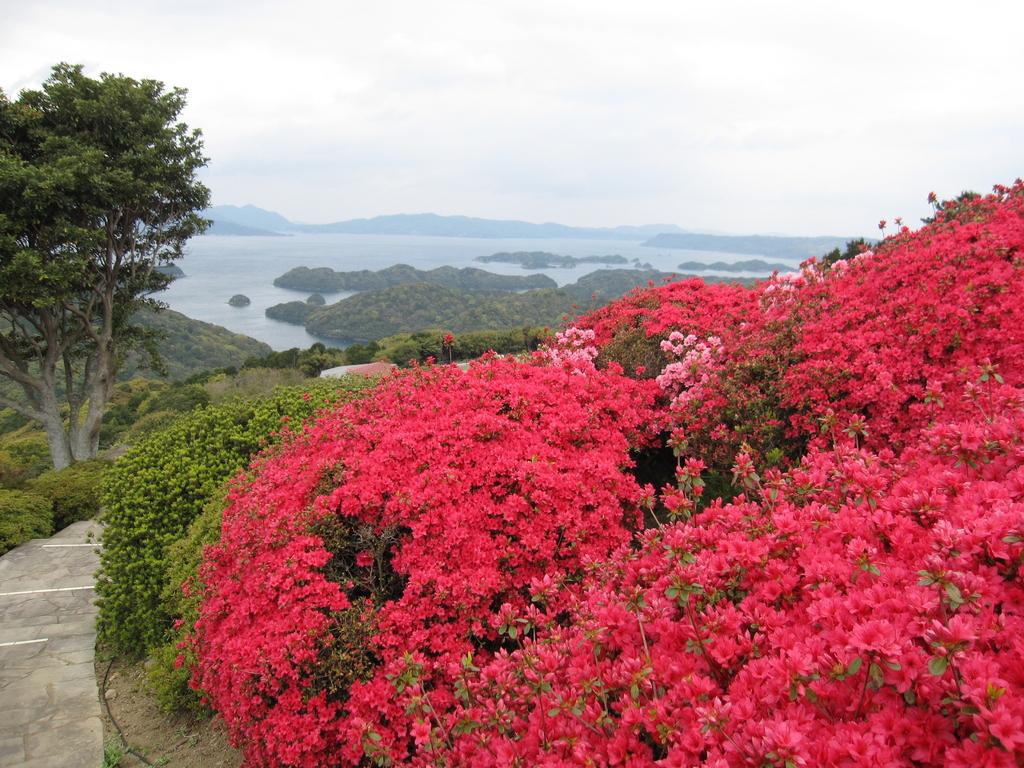 【2024年開花状況】長串山つつじまつり-2