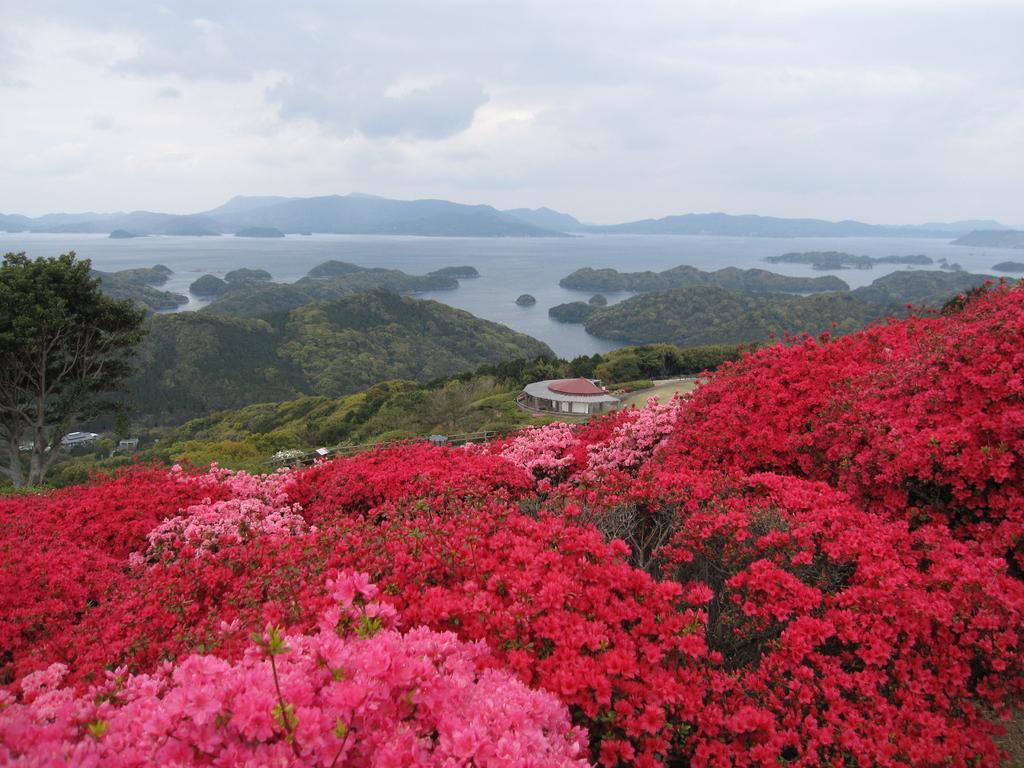 【2024年開花状況】長串山つつじまつり-1