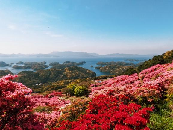 【2024年開花状況】長串山つつじまつり-7