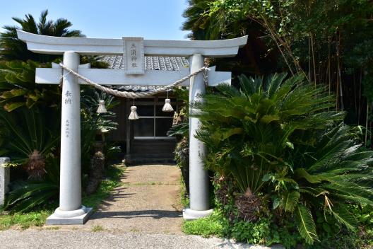 【宇久島】三浦神社の大ソテツ-1