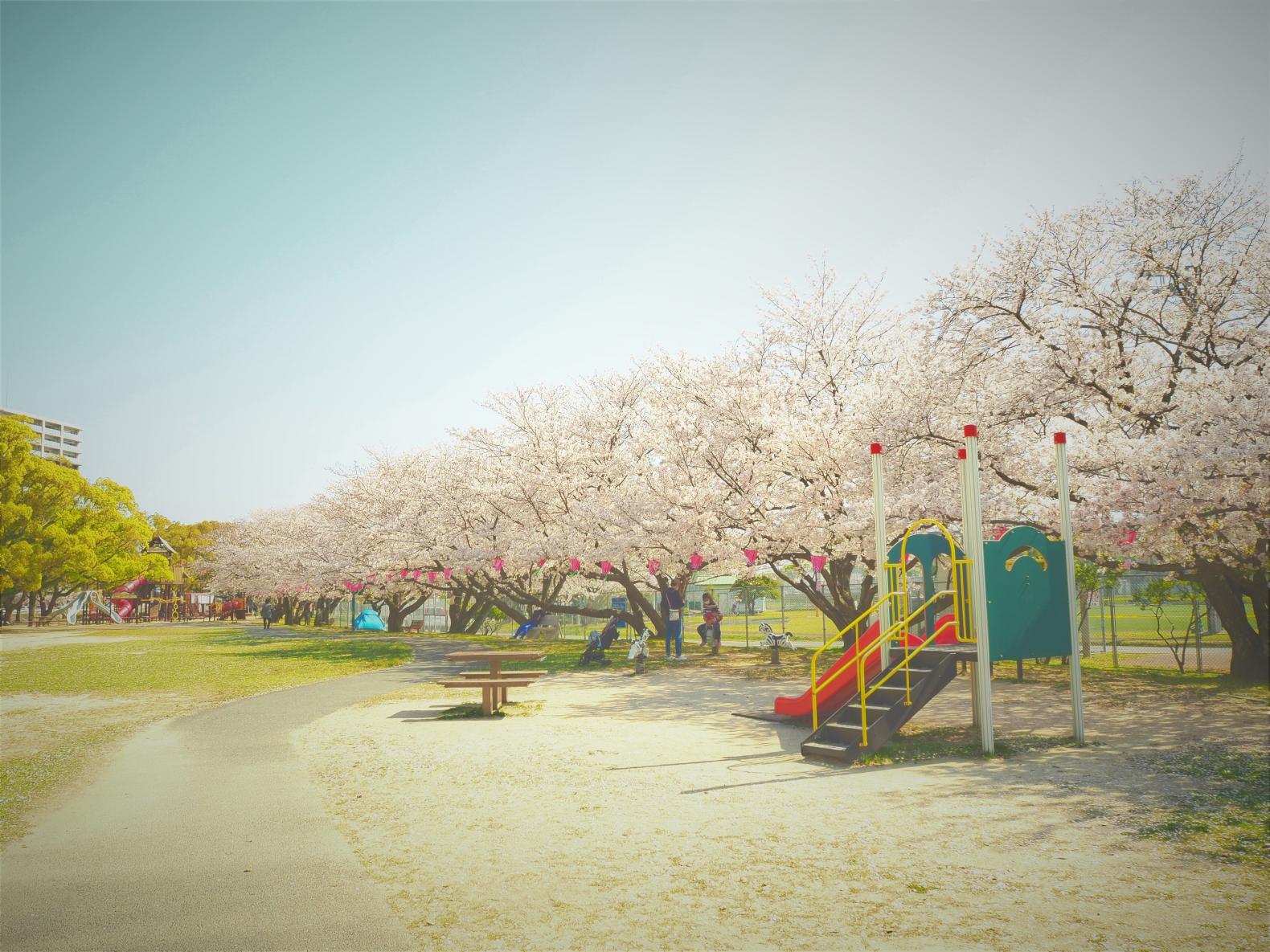 佐世保公園-1