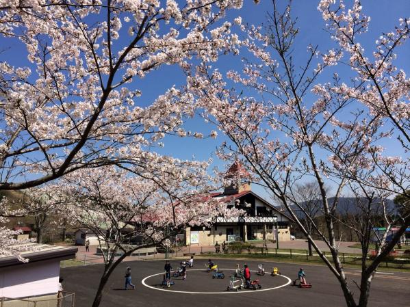 えぼし桜ウィーク-0