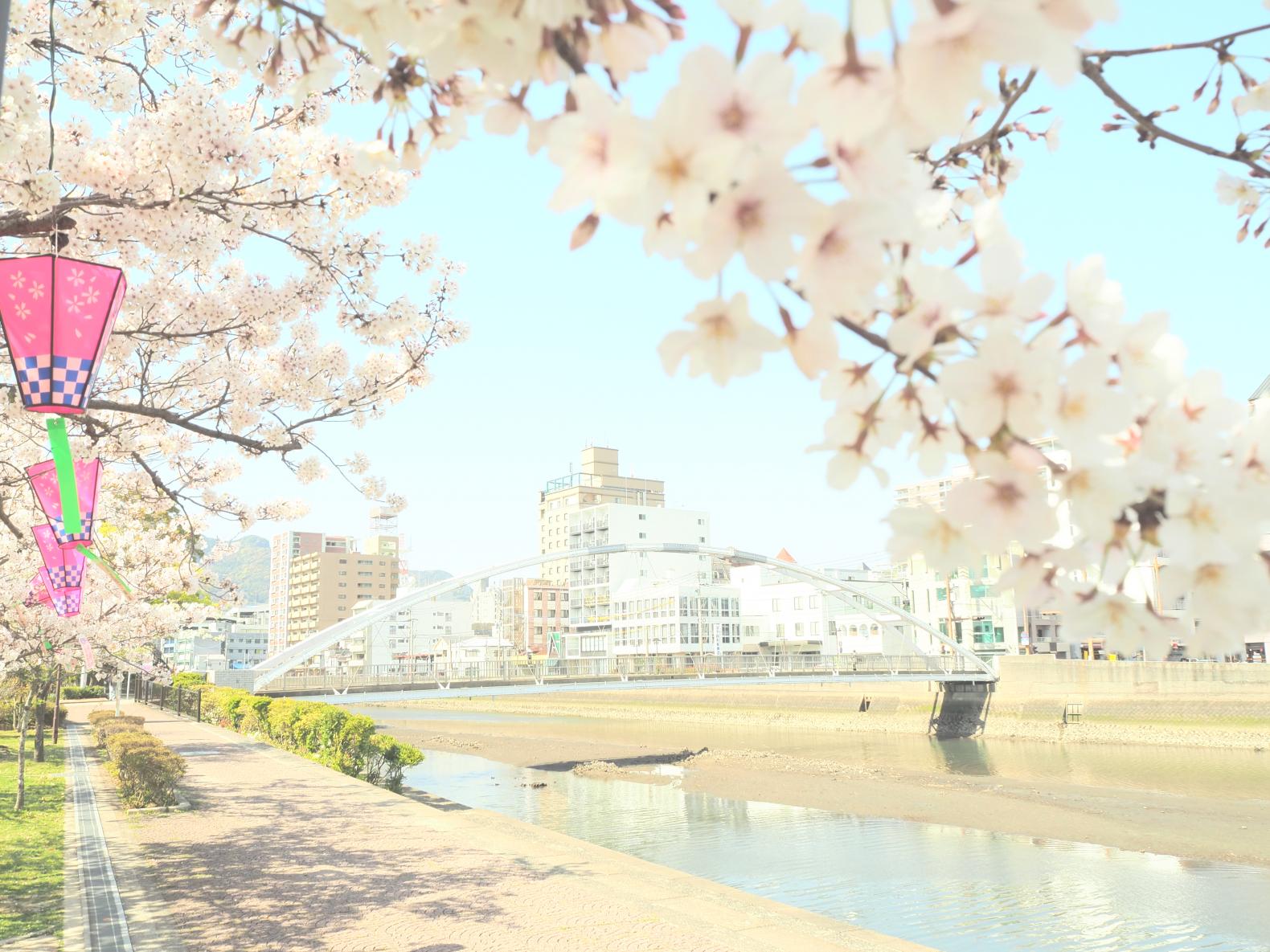 国際親善させぼ桜まつり-0