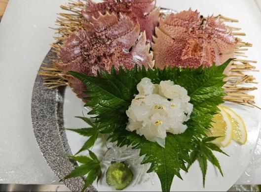 いけす割烹 水月-8