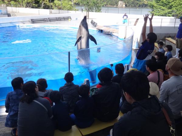 【九十九島水族館海きらら】朝の海きらら-1