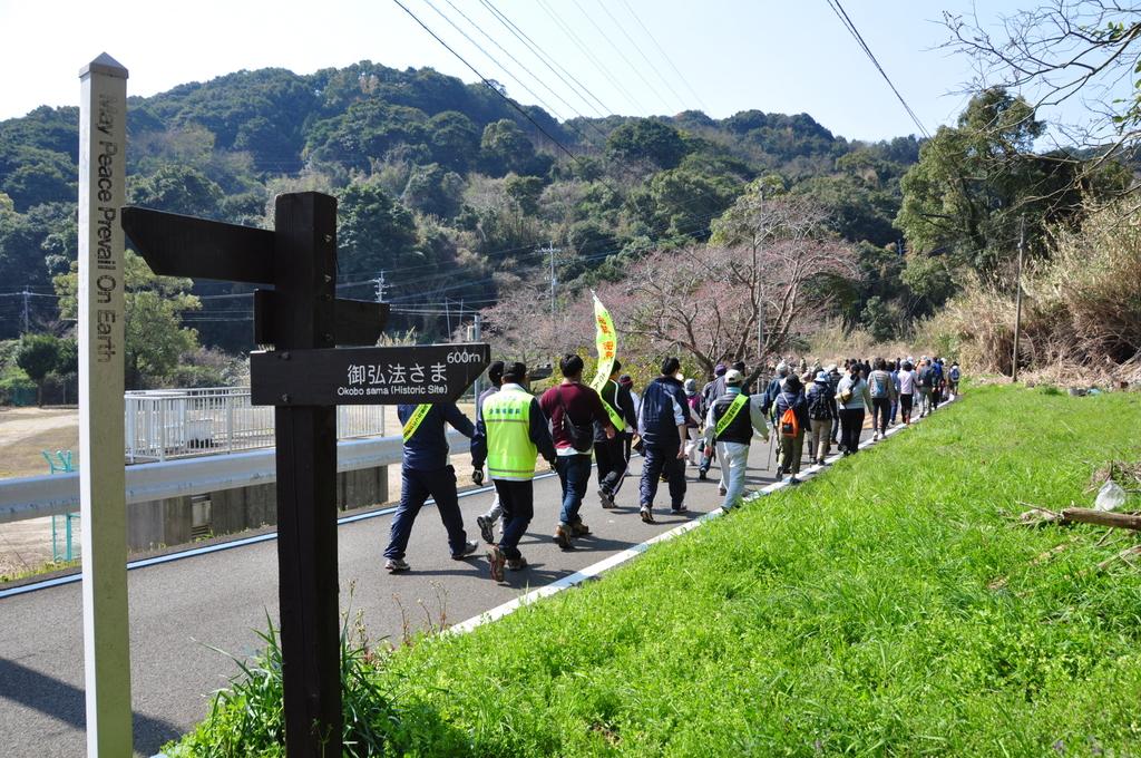 展海峰菜の花ウォーク-1