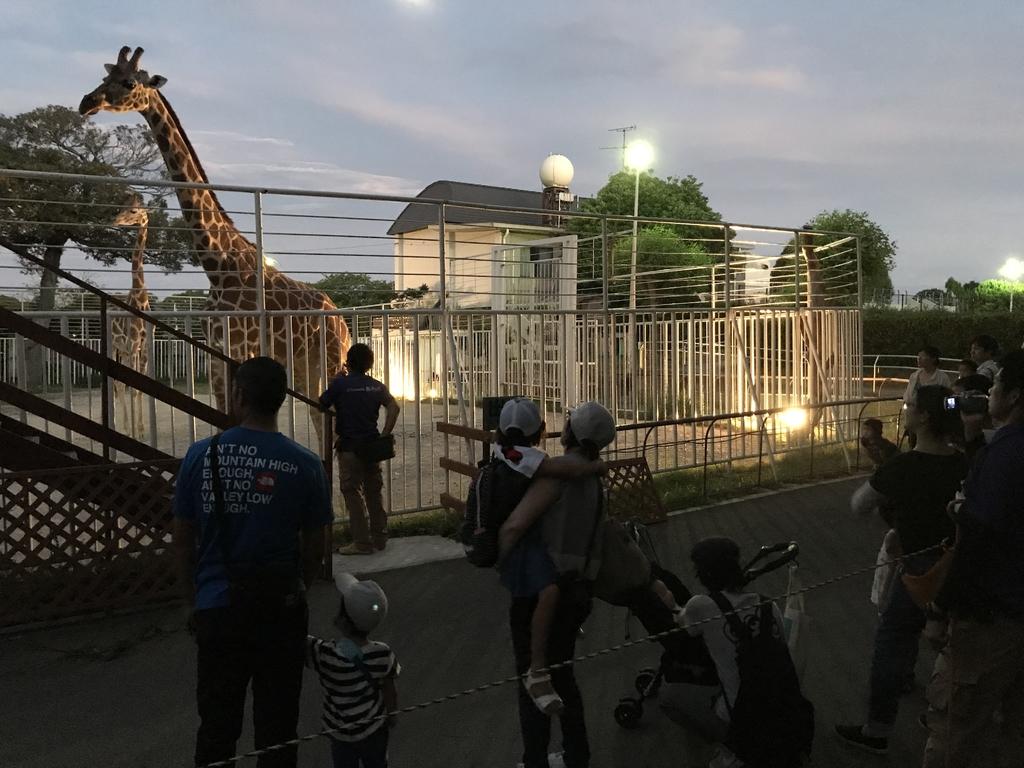 【九十九島動植物園森きらら】竹灯りともる夜の森きらら-1