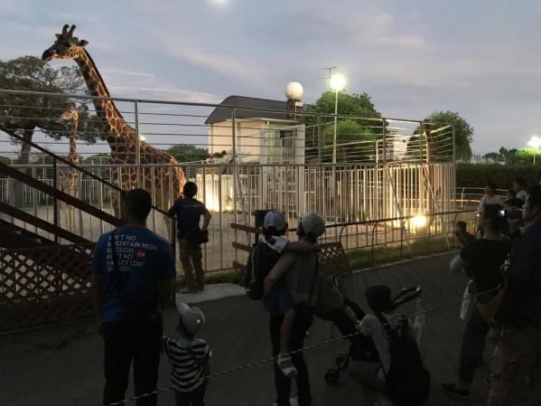 【九十九島動植物園森きらら】星空に輝く動植物たち！夜の森きらら-0