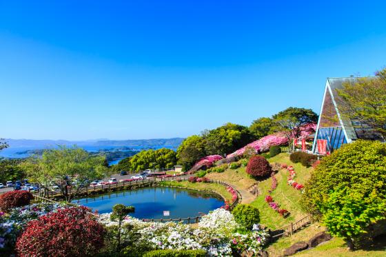 【2024年開花状況】長串山公園-3