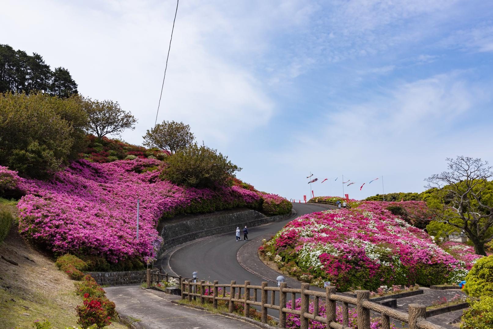 長串山公園-7