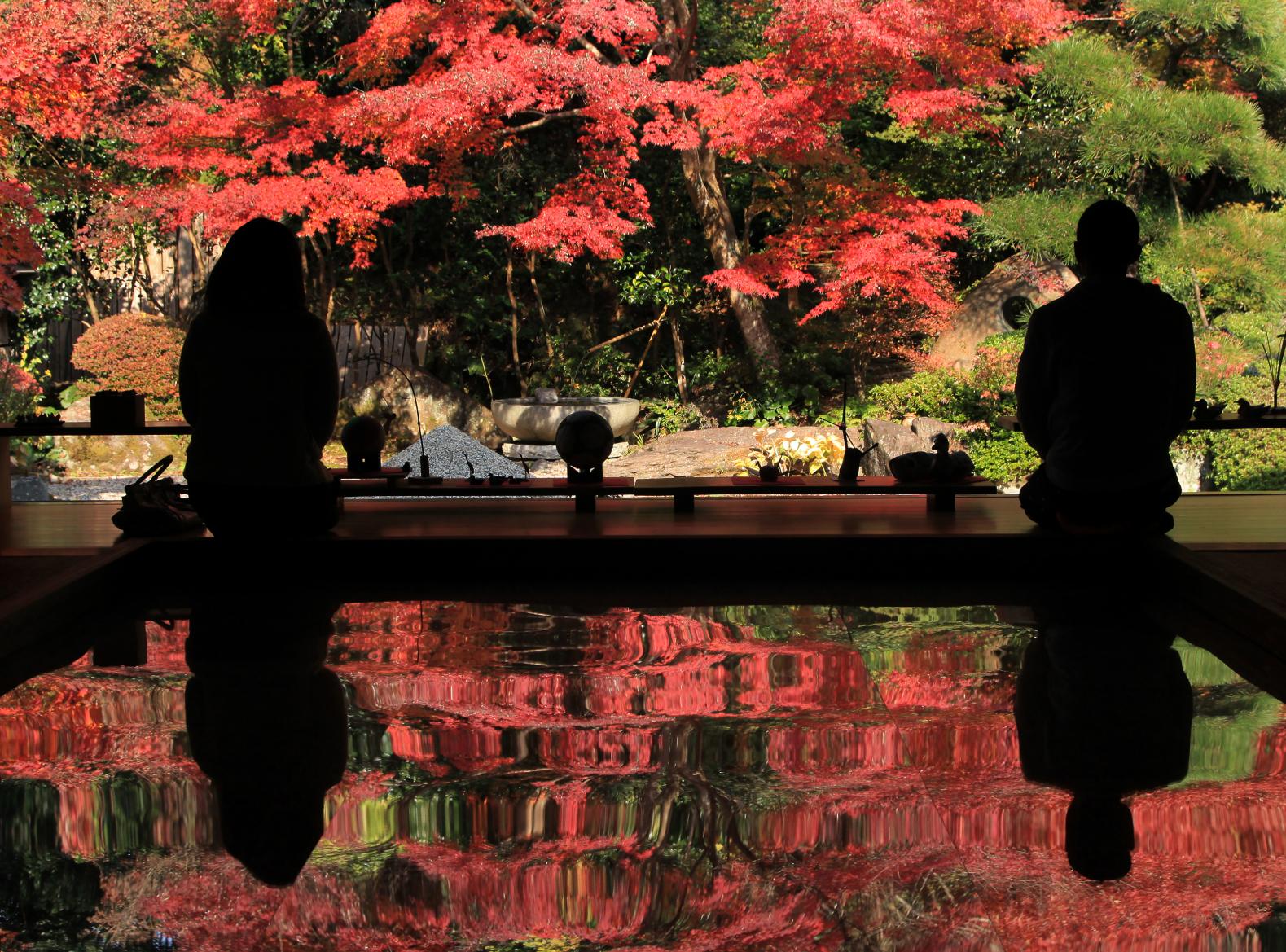 寿福寺「逆さ紅葉」-2