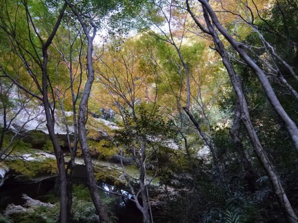 御橋観音　石橋-7