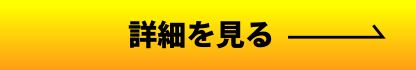 詳細を表示